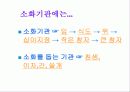 우리 몸의  소화기관 3페이지