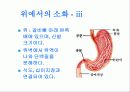 우리 몸의  소화기관 6페이지