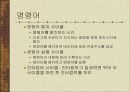 컴퓨터 시스템의 구조 40페이지