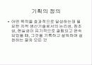 기획의 이해 5페이지