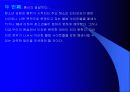 청소년 성범죄 12페이지