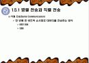컴퓨터 네트워크의 이해 11페이지