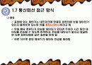 컴퓨터 네트워크의 이해 29페이지