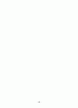한국의 출산력과 미래전망 13페이지