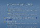 버스, 캐쉬, 공유메모리에 대해서(1) 29페이지