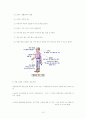 음주,흡연, 약물남용에 따른 건강의 피해조사 15페이지