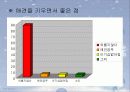 애견마케팅 14페이지