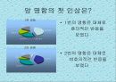 나만의광고-명함마케팅 13페이지
