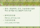지방자치단체의 본질과 구역(파워포인트) 4페이지
