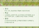 지방자치단체의 본질과 구역(파워포인트) 5페이지