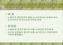 지방자치단체의 본질과 구역(파워포인트) 6페이지