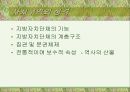 지방자치단체의 본질과 구역(파워포인트) 9페이지