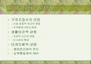 지방자치단체의 본질과 구역(파워포인트) 10페이지