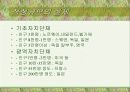 지방자치단체의 본질과 구역(파워포인트) 13페이지