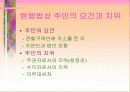 주민과 21세기 지방자치 3페이지
