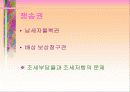 주민과 21세기 지방자치 6페이지