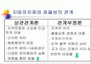 지방자치제의 발달과정과 주요이론 6페이지