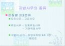 지방자치단체의 사무(파워포인트) 3페이지