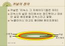맞춤 커널 만들기 3페이지