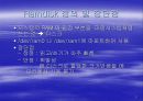 Ramdisk 만들기 3페이지