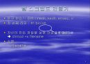 쉘 스크립트 만들기 4페이지