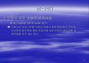 Wireless Internet Security  (무선 인터넷 보안) 19페이지