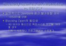 Enhanced Char Driver Operations 19페이지