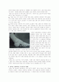 눈물의 씨앗, 전족 두 발에 눈물 한 섬 4페이지