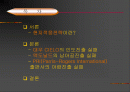 현지화 실패사례 2페이지