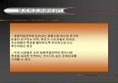 현지화 실패사례 4페이지