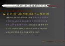 현지화 실패사례 15페이지