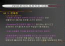 현지화 실패사례 16페이지