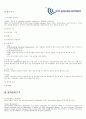 [항공교통]아일랜드의 공역관리 항공정책 ATC 유로콘트롤 4페이지