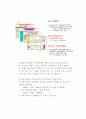 사업계획서 (화장품 사이트) 17페이지