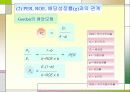 기업가치평가의 기초 87페이지