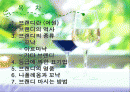 브랜디의 역사 종류 및 표기법 2페이지