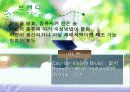 브랜디의 역사 종류 및 표기법 3페이지
