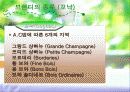 브랜디의 역사 종류 및 표기법 6페이지