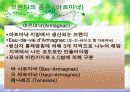 브랜디의 역사 종류 및 표기법 7페이지