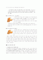 진화의 특징과 인류진화와 적응 4페이지