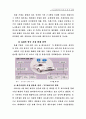 GM대우 마케팅 전략 분석 및 수립 32페이지