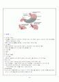 위식도 역류증 (GERD) 3페이지