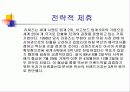 벽산의 마케팅 전략 분석 및 수립 11페이지
