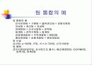 벽산의 마케팅 전략 분석 및 수립 14페이지