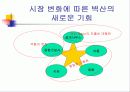 벽산의 마케팅 전략 분석 및 수립 15페이지