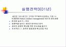 벽산의 마케팅 전략 분석 및 수립 23페이지