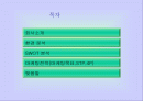 LG화재의 마케팅 전략 분석 및 수립 2페이지