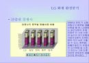 LG화재의 마케팅 전략 분석 및 수립 13페이지