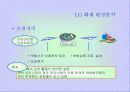 LG화재의 마케팅 전략 분석 및 수립 15페이지