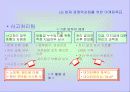 LG화재의 마케팅 전략 분석 및 수립 29페이지